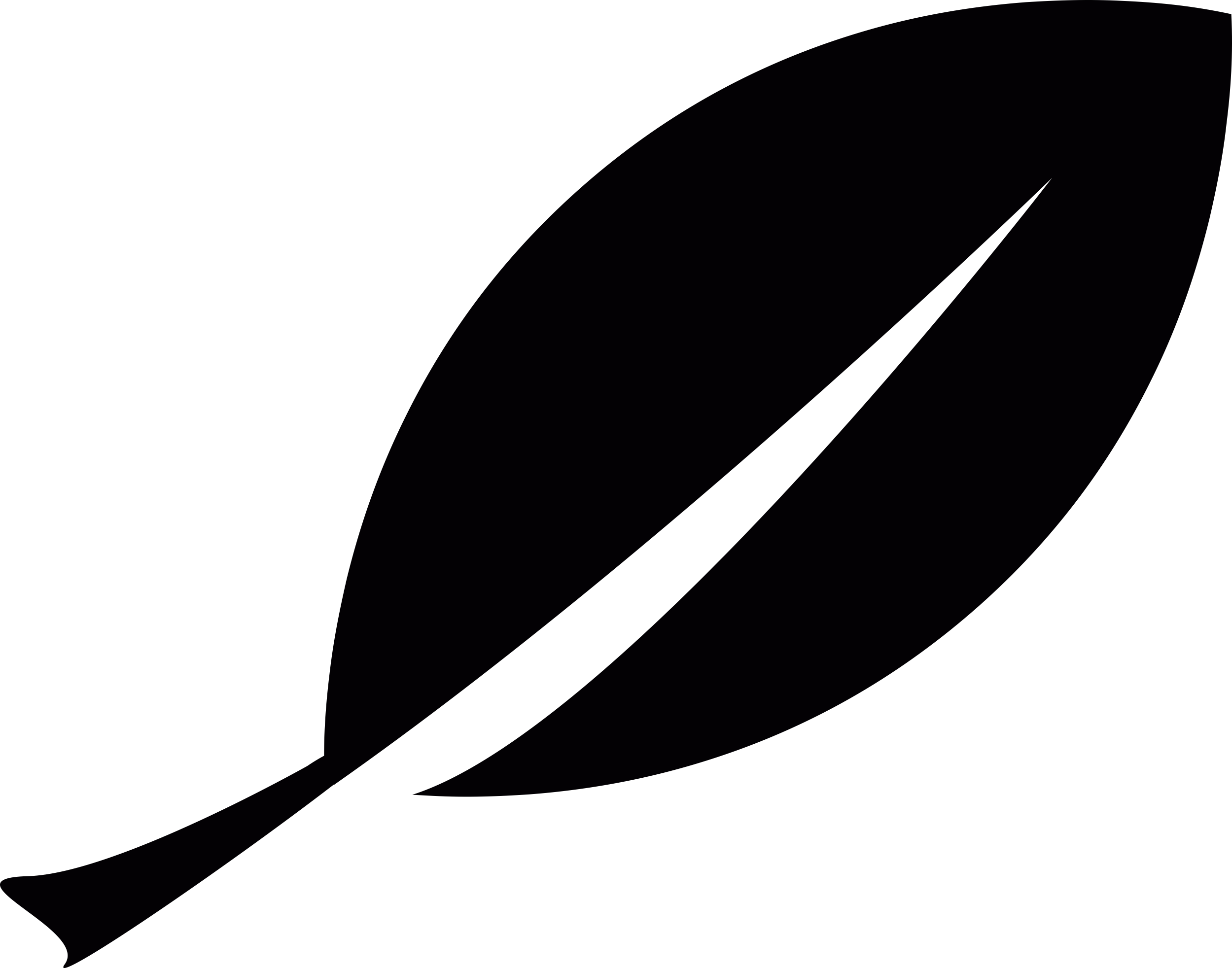 Plant Leaf Tracing Svg Vector Free Vectors